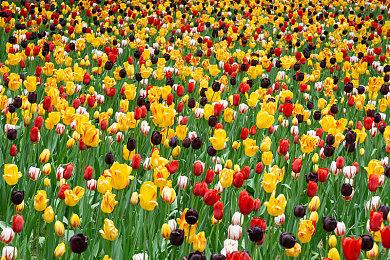 《消逝的光芒：野兽》更换法语配音 称契合角色成长