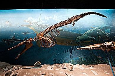 Steam新一周销量榜 《艾尔登法环》继续第二